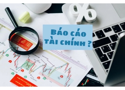 BÁO CÁO TÀI CHÍNH